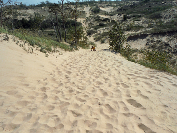 Karen crawls up the dune